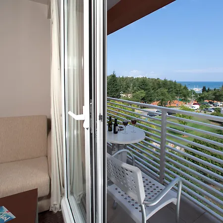 Hotel Albatros Plava Laguna-2